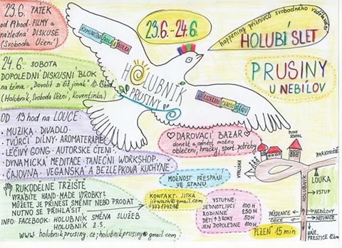 Holubí slet 2017 - hapenning příznivců přirozeného vzdělávání.jpg